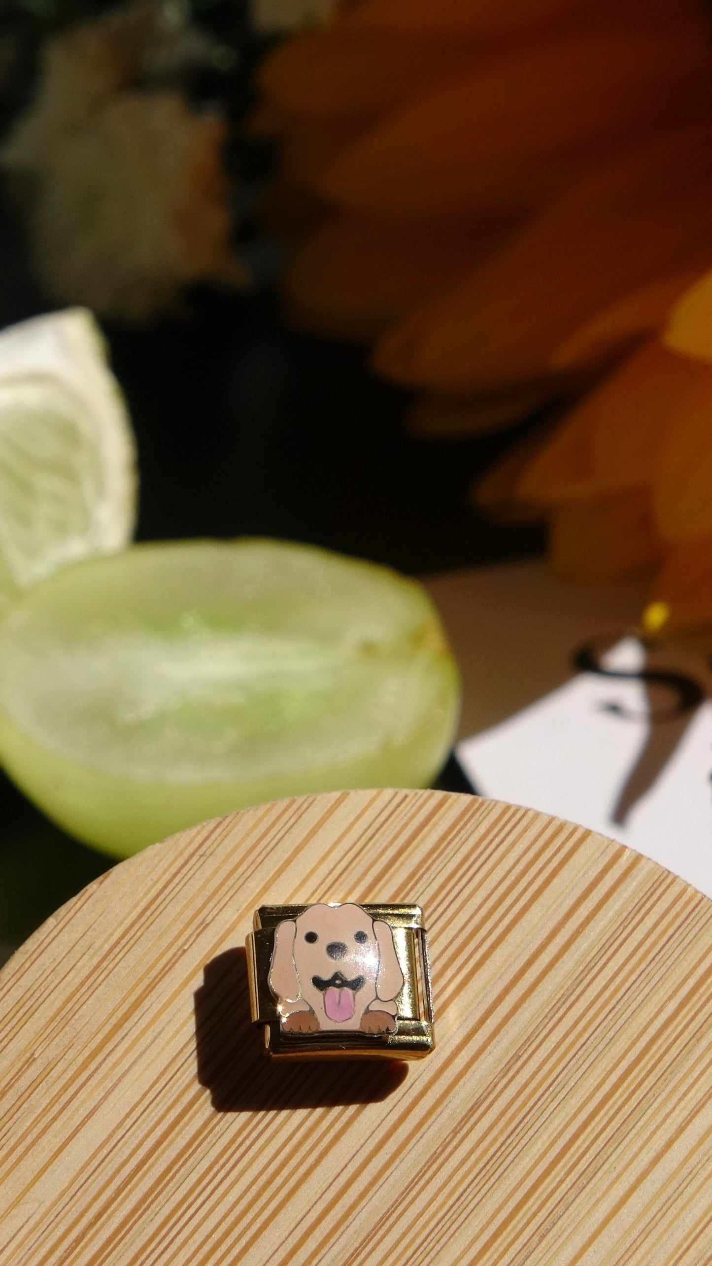 Charm Mascota Italian Bracelet