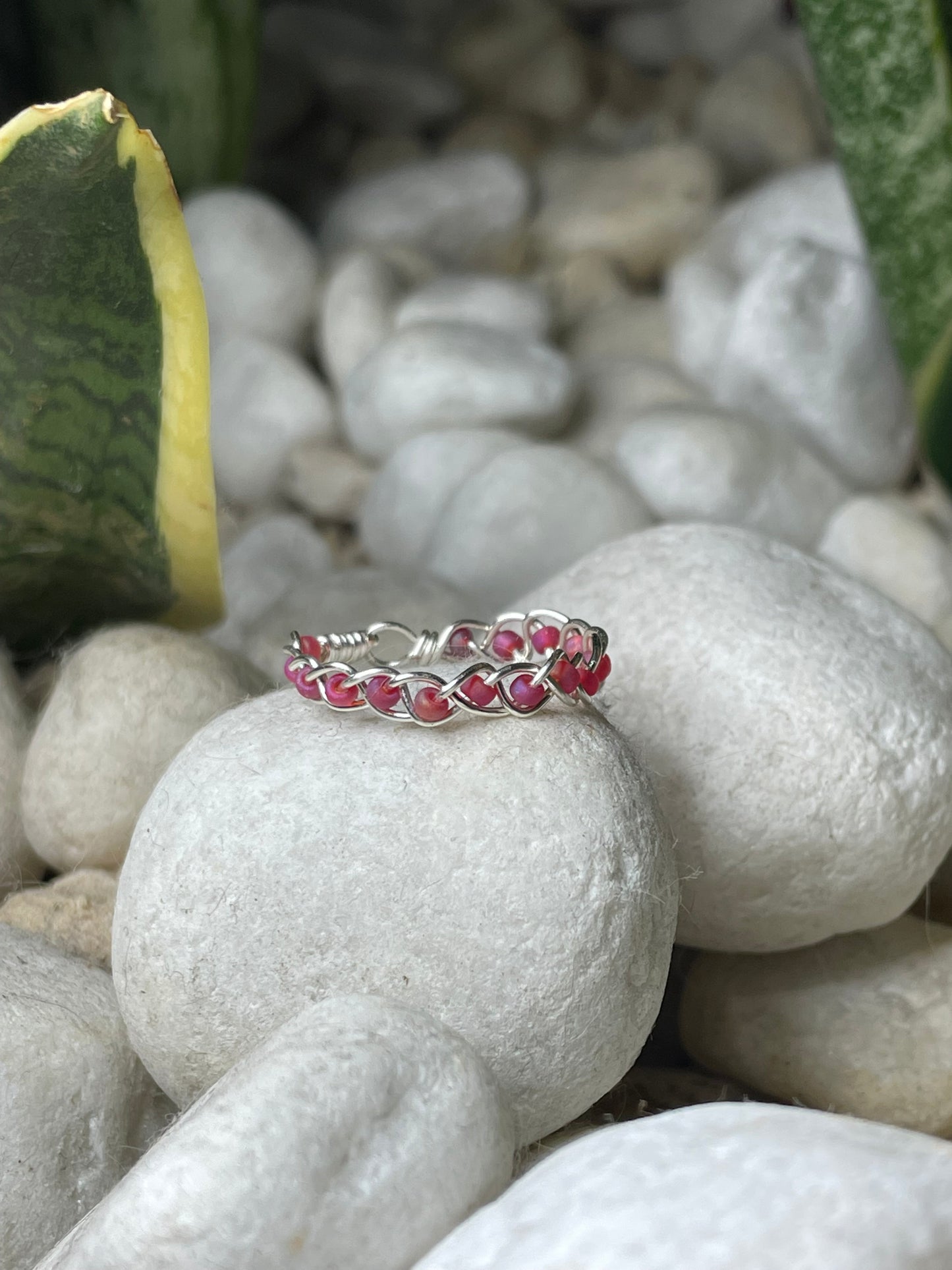 Anillo Lazo