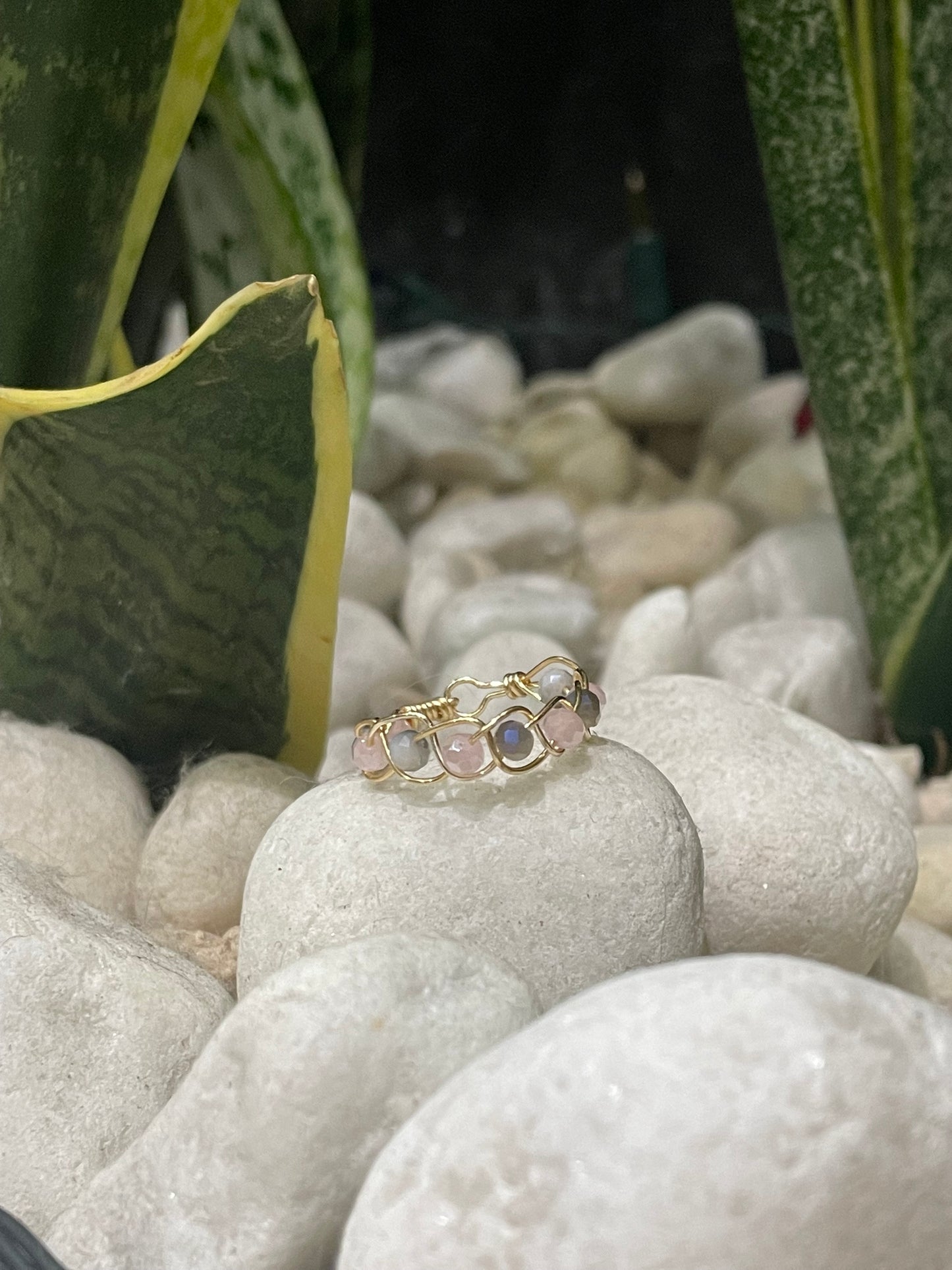 Anillo Lazo
