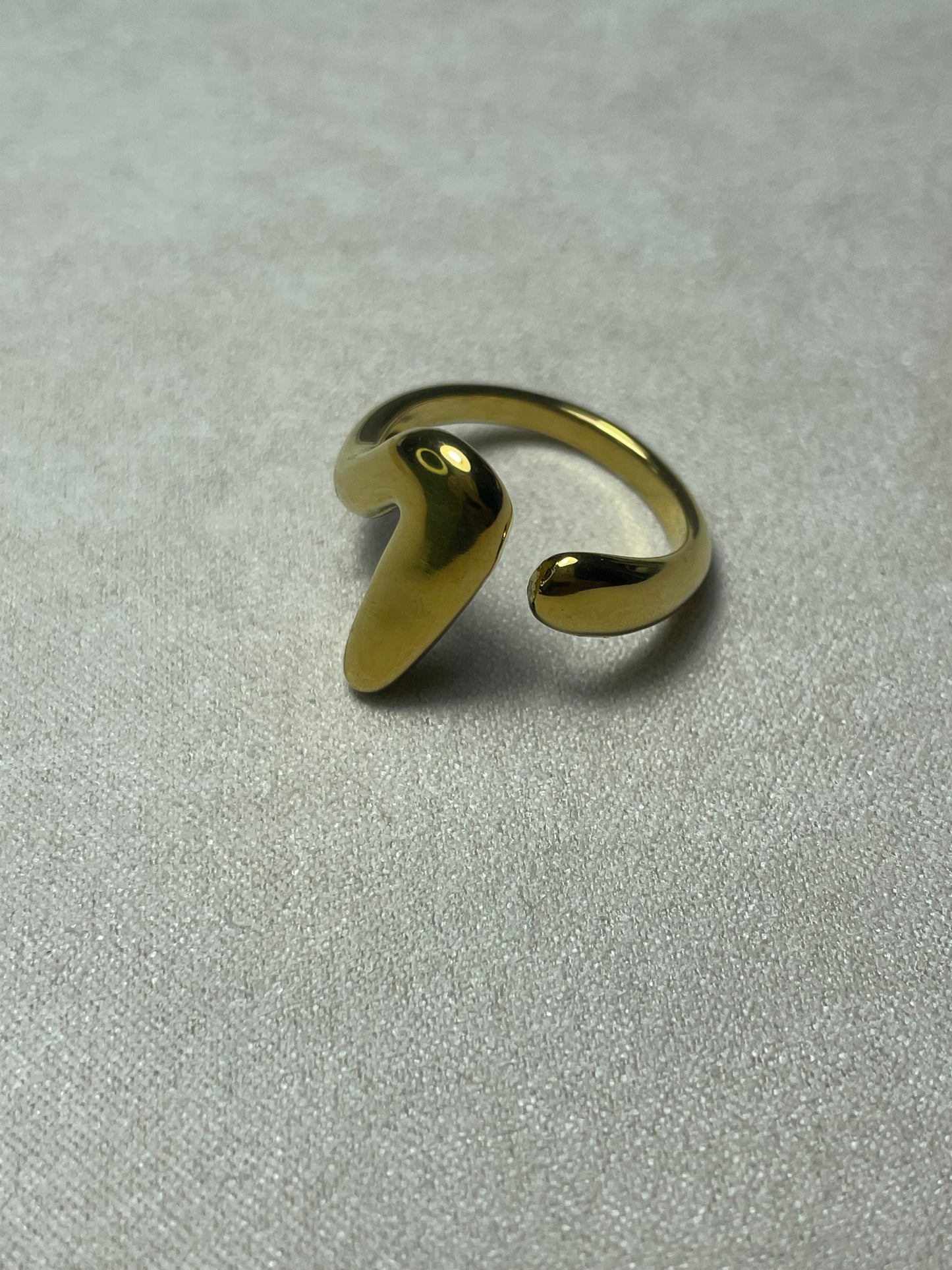 Anillo Duna