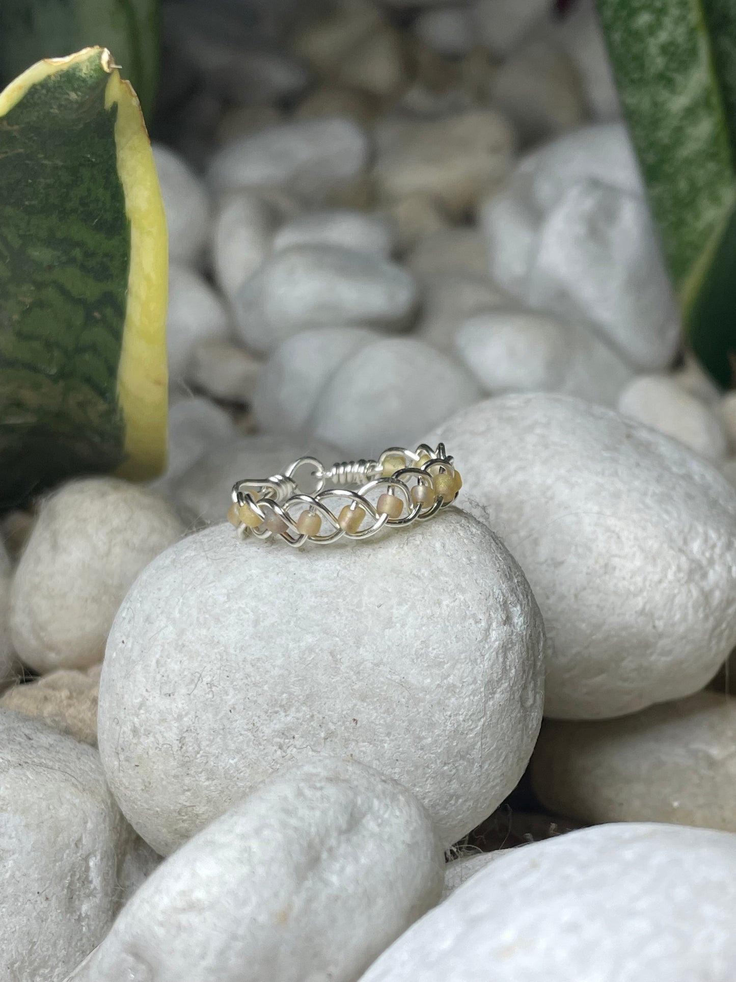 Anillo Lazo