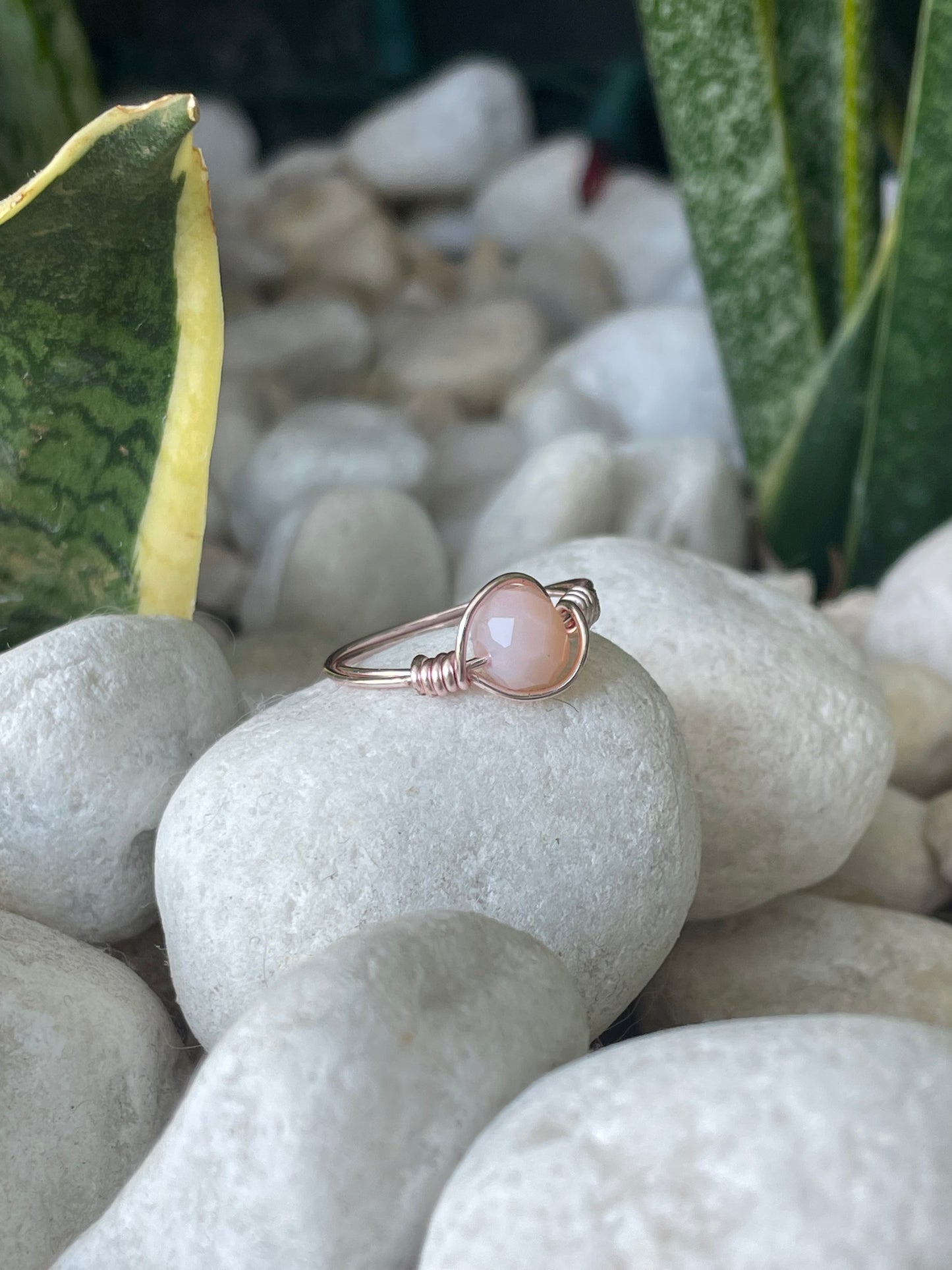Anillo Pixie
