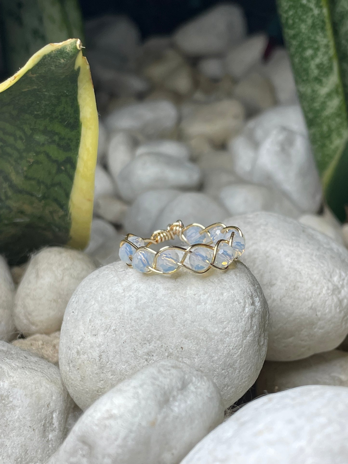 Anillo Lazo